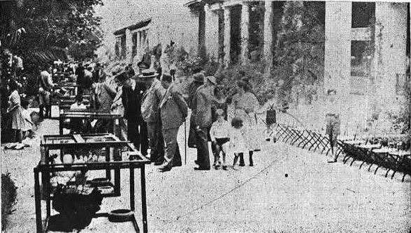 Archivo:Córdoba, Vista parcial de los jardines del duque de Rivas y la Pérgola (concurso de avicultura de 1934), s.a., año 1934 .jpg
