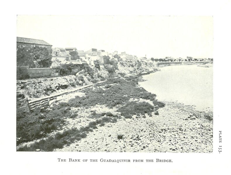 Archivo:Bancal del río Guadalquivir a su paso por Córdoba.jpg