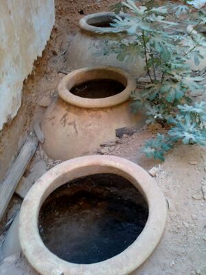 Molinopareja14.jpg