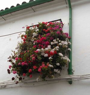 Parras 2010.jpg