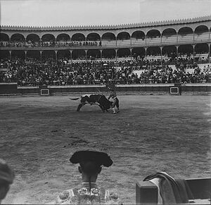 Banderillas tejares 1905.JPG