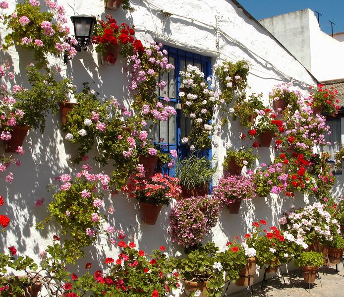 Archivo:Patio Marroquies 6.jpg