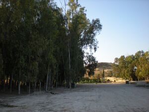 Puente de piedra baena 7.jpg