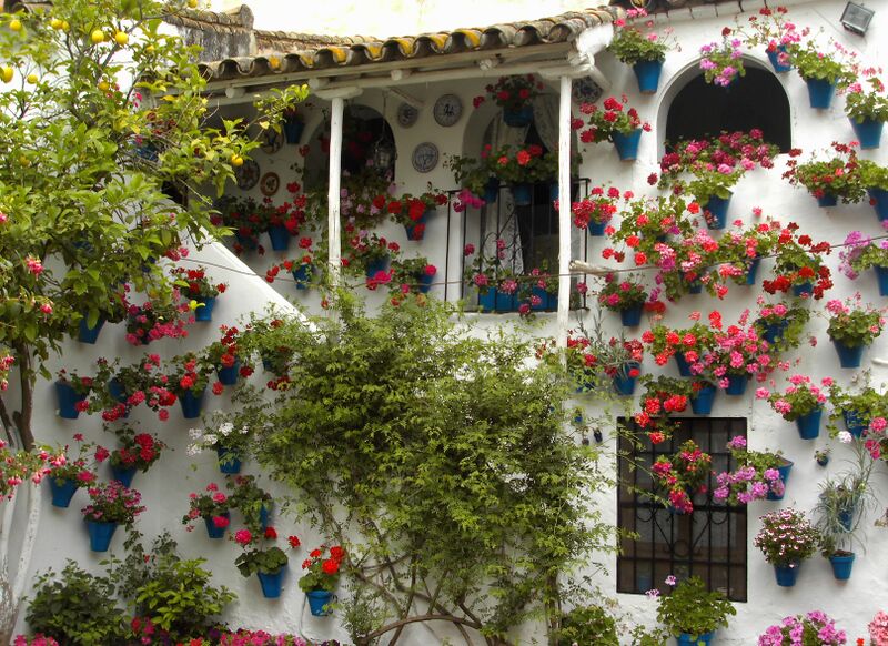Archivo:Patio calle Trueque 4 (2009).jpg