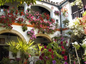 Parras 6 2010.jpg