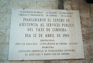 Placa Centro Taxi-2.jpg