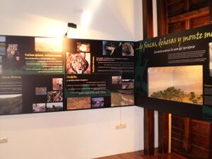 SalaCazaCardeña3.JPG