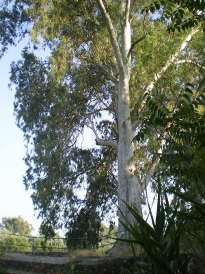 P6020140.JPG