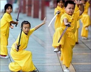 Kungfu.jpg