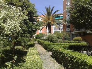 José Altolaguirre Jardines04.jpg