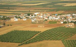 Silillos2012.jpg