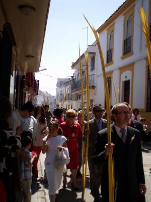 Palmas.JPG
