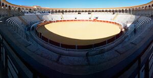Plaza-de-toros-de-pozoblanco2.jpg
