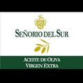 Miniatura de la versión del 18:36 17 abr 2025