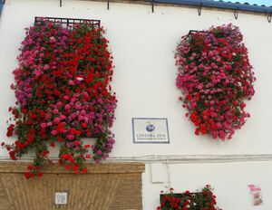 San Basilio 17a.jpg