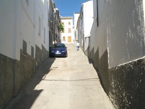 La cuesta el camello.jpg