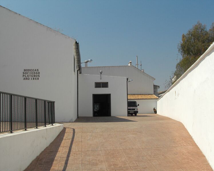 Archivo:Plateros VI.jpg