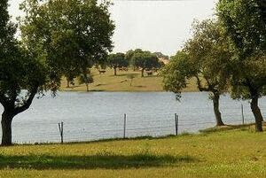Pantano.pozoblanco.jpg