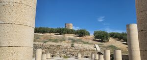Basílica de Torreparedones.jpg