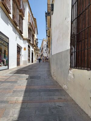 Calle Blanco Belmonte hacia Tendillas.jpg