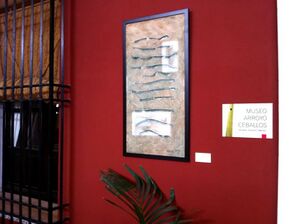 Museoarroyoceballos9.jpg
