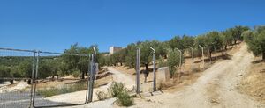 Entrada al complejo de Torreparedones.jpg