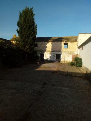 Molino Eslava 2020 FP-4.jpg