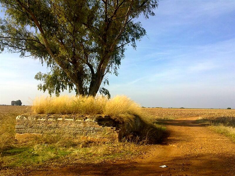 Archivo:Molino de las Florentinas8.JPG