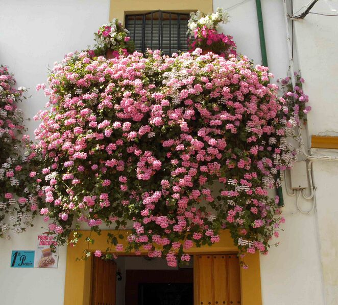 Archivo:Reja de la calle Julio Romero-2012.jpg