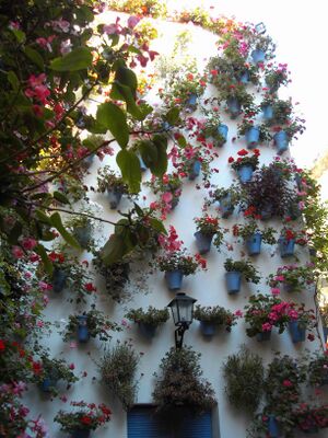 Patio de la calle Martín Roa, 2 (2011).jpg