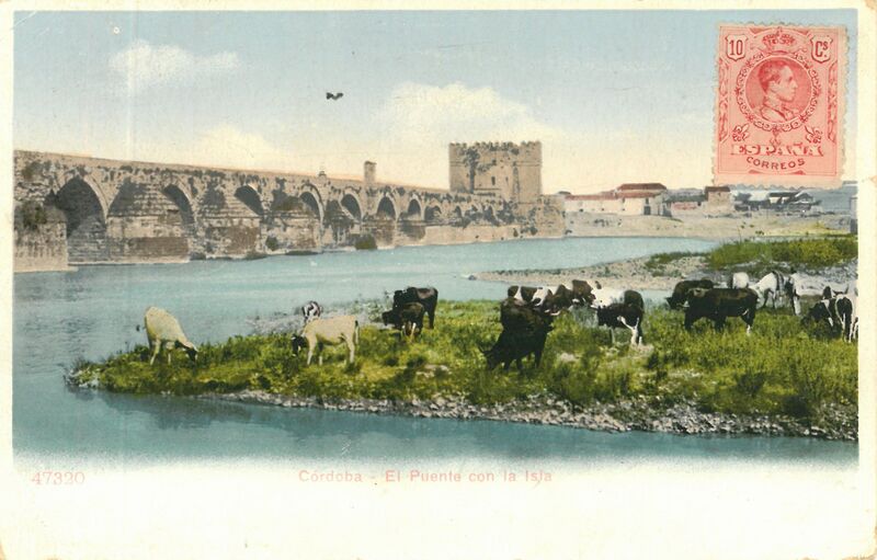 Archivo:El puente con la isla.jpg