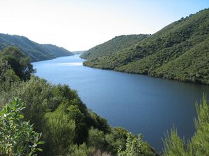 RioBembezar(5).jpg