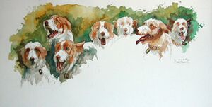 Podencos 26x50.jpg