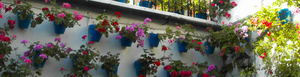 Panorámica patio calle Tinte 9.png