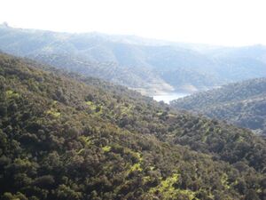 Pantano1.jpg