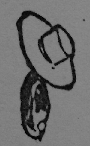 Sombreo I.jpg