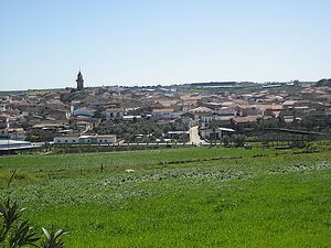 Dos torres.jpg