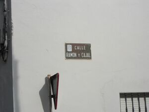 Ramonycajal.jpg
