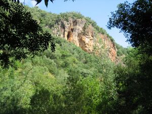 RioGuadalora(3).jpg