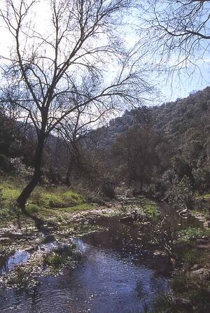 Río Guadalora.jpg