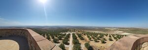 Torreparedones. Vistas del Olivar 3.jpg