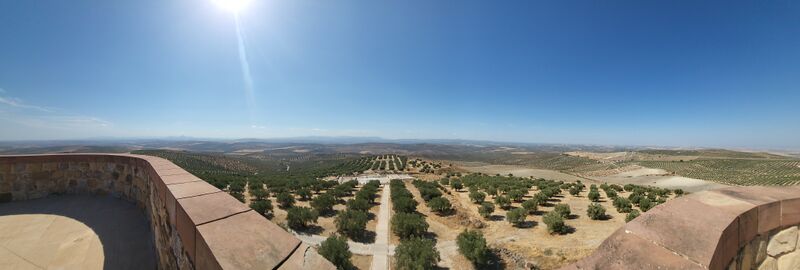 Archivo:Torreparedones. Vistas del Olivar 3.jpg