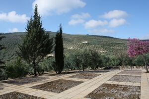 Vistas de la Ermita (Nueva Carteya).JPG