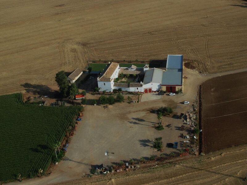 Archivo:Sotomelero2012-3.jpg