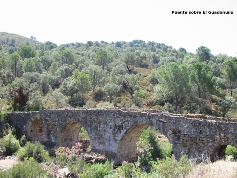 Archivo:Puente romano sobre el río Guadanuño.jpg
