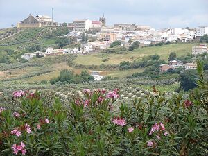 Montilla.jpg