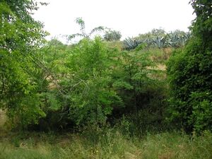 Paisaje ubicación fuente.jpg