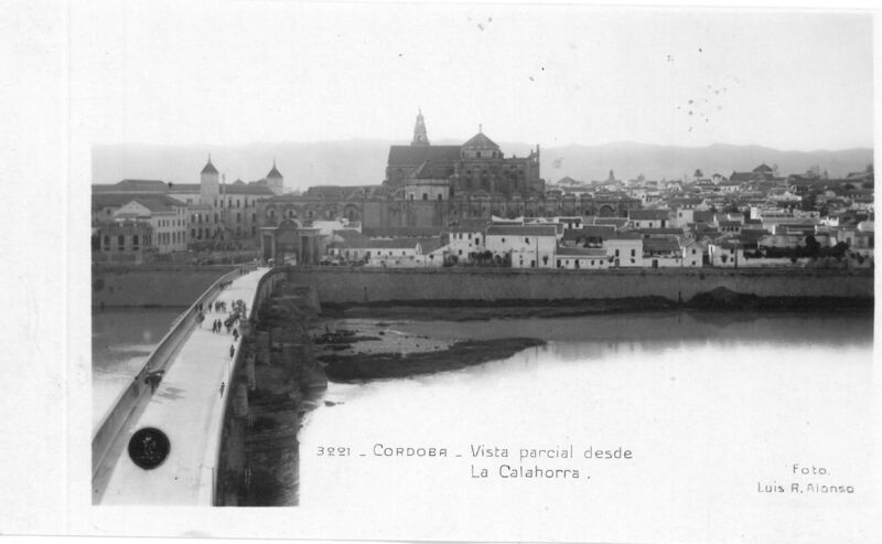 Archivo:Vista parcial desde la Calahorra.jpg