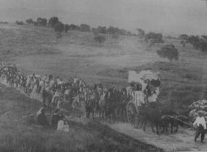 Romería Linares.jpg