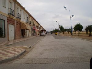 Paseodelaconstitucionfuentepalmera.JPG